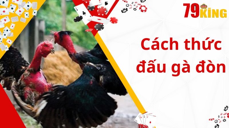 Cách thức đấu gà đòn