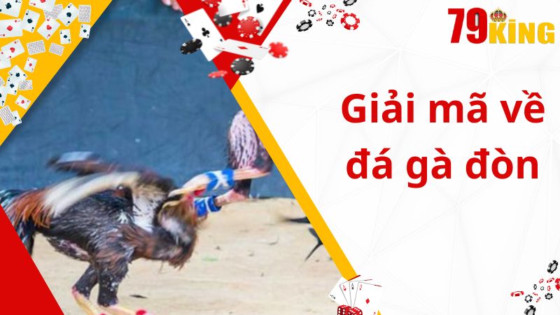 Giải mã về trò chơi đá gà đòn