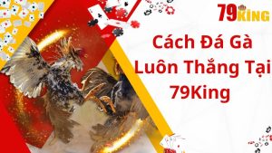 Bật Mí Những Cách Đá Gà Luôn Thắng Từ Chuyên Gia