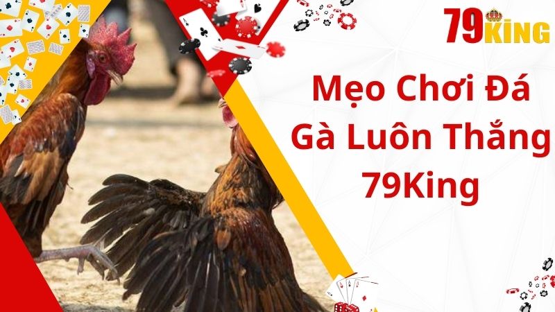 Bật mí cách đá gà luôn thắng từ cao thủ