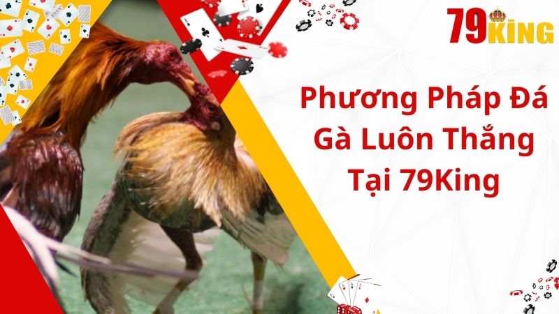 Một số phương pháp đặt cược đá gà luôn thắng