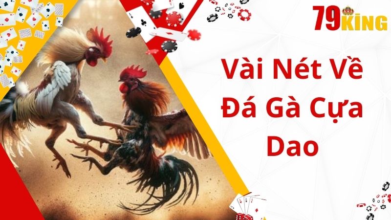 Một số thông tin cơ bản về đá gà cựa dao