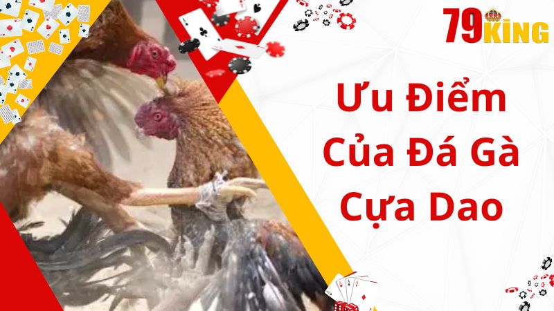 Ưu điểm nổi bật của hình thức đá gà cựa dao