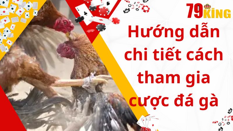 Hướng dẫn chi tiết cách tham gia cược đá gà cựa sắt