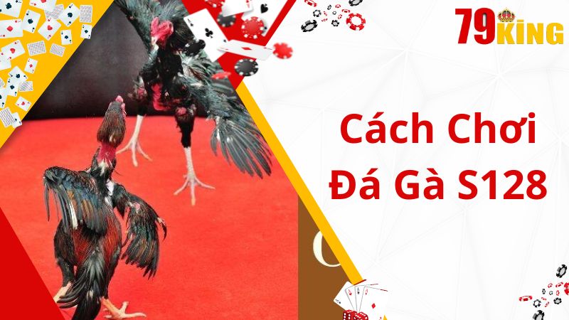 Hướng dẫn cách chơi đá gà s128