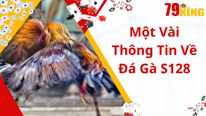 Một số thông tin về sân chơi đá gà S128